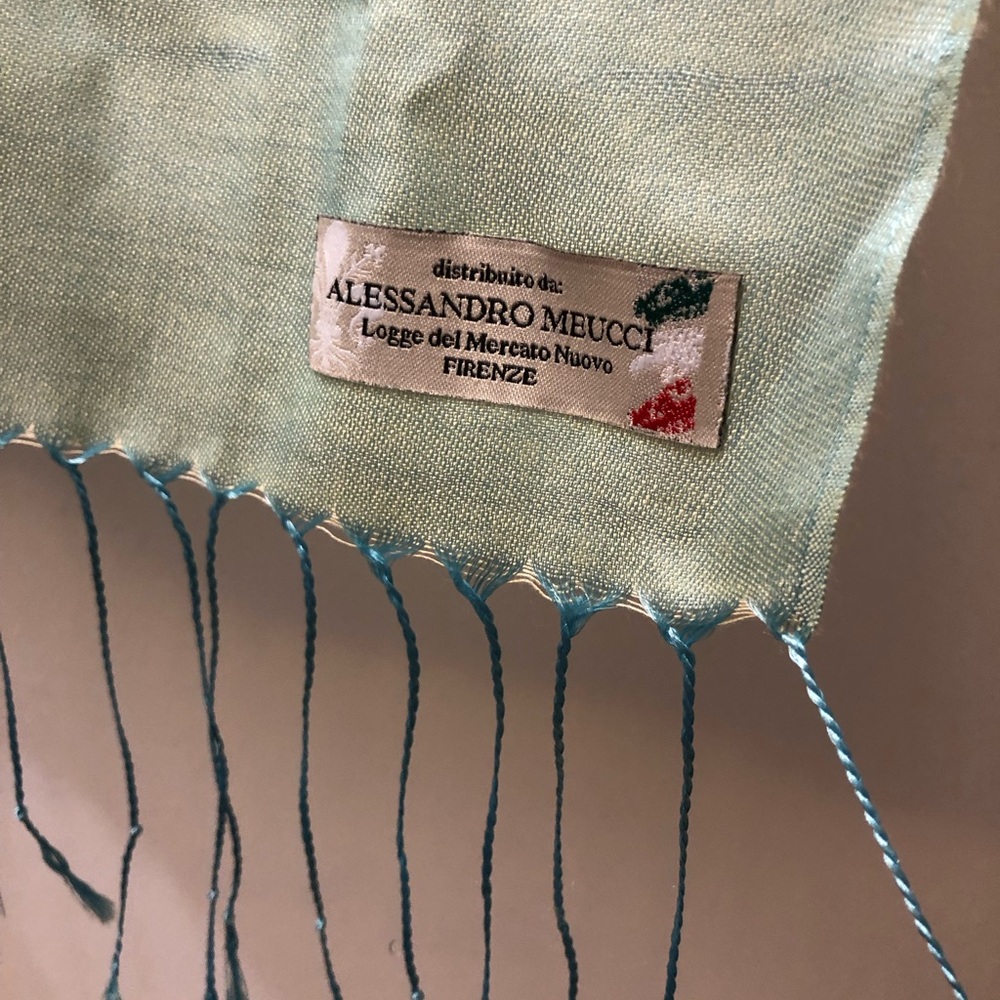 Cashmere and Silk Alessandro Meucci Mint Green Scarf with Teal Fringe